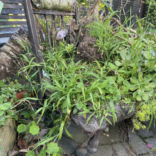 Entry by Tom