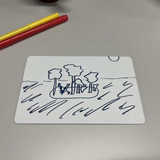 Entry by Tom