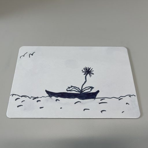 Entry by Tom